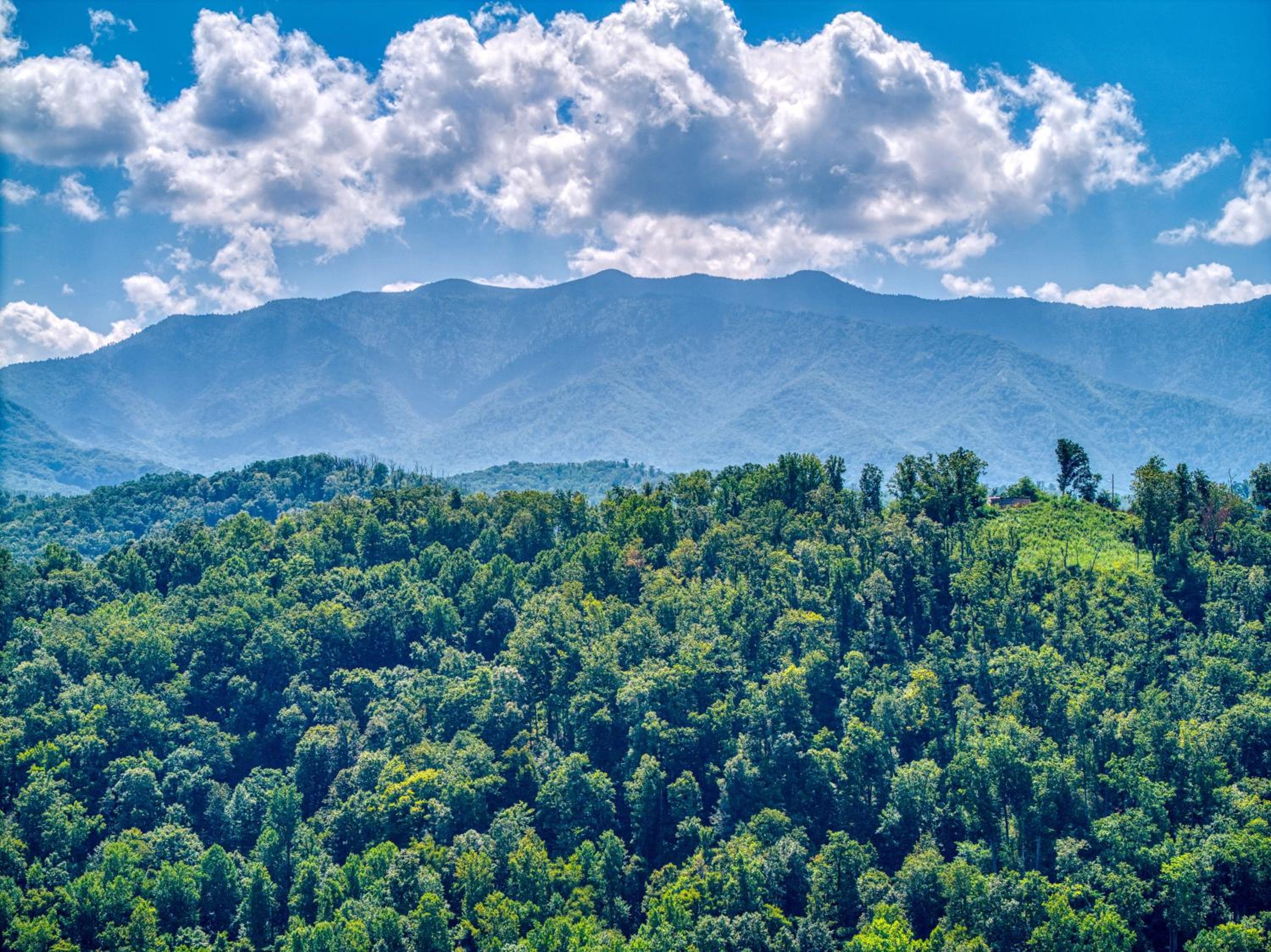 Gatlinburg Heights, Hot Tub, Game Room, Theater Room, FREE Attraction tickets !!!