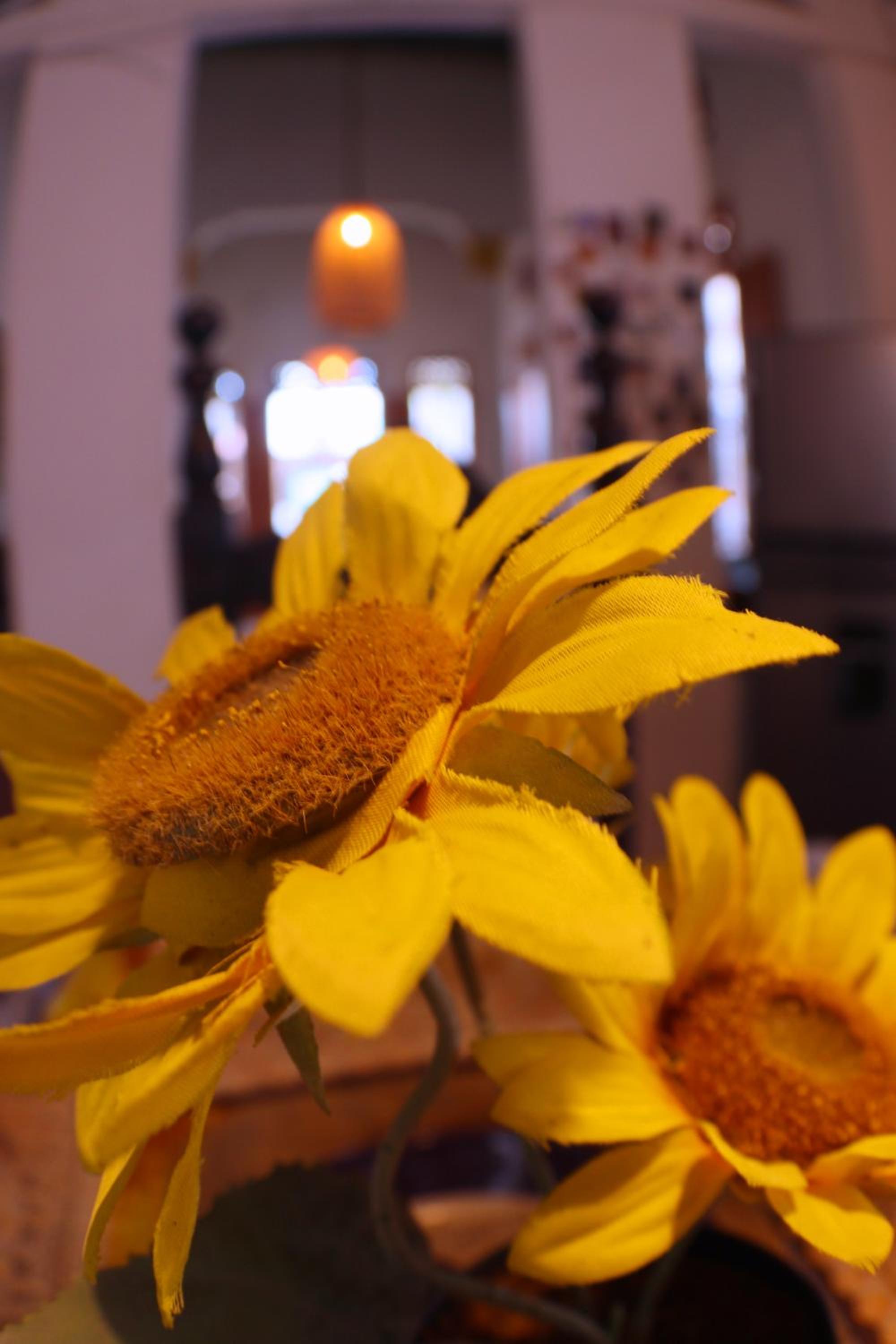 Historic House Santa Marta