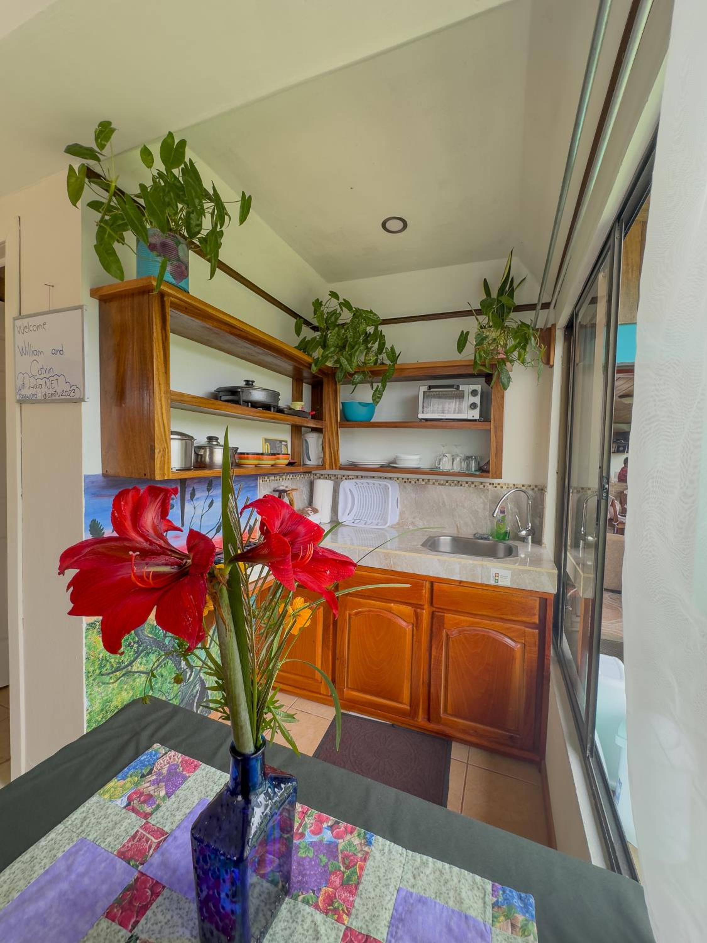 Lidia's Mountain View Vacation Homes