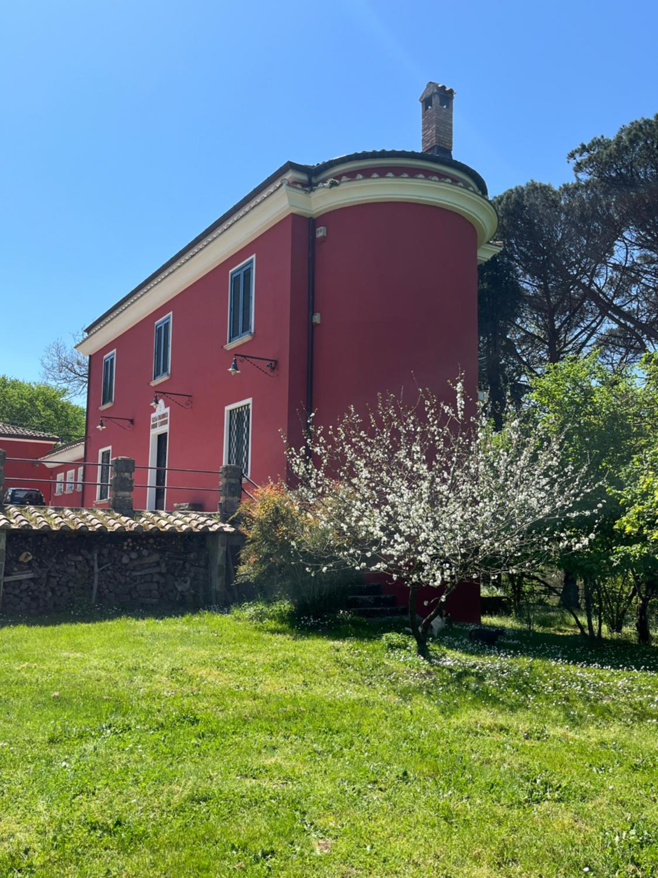Photo 66