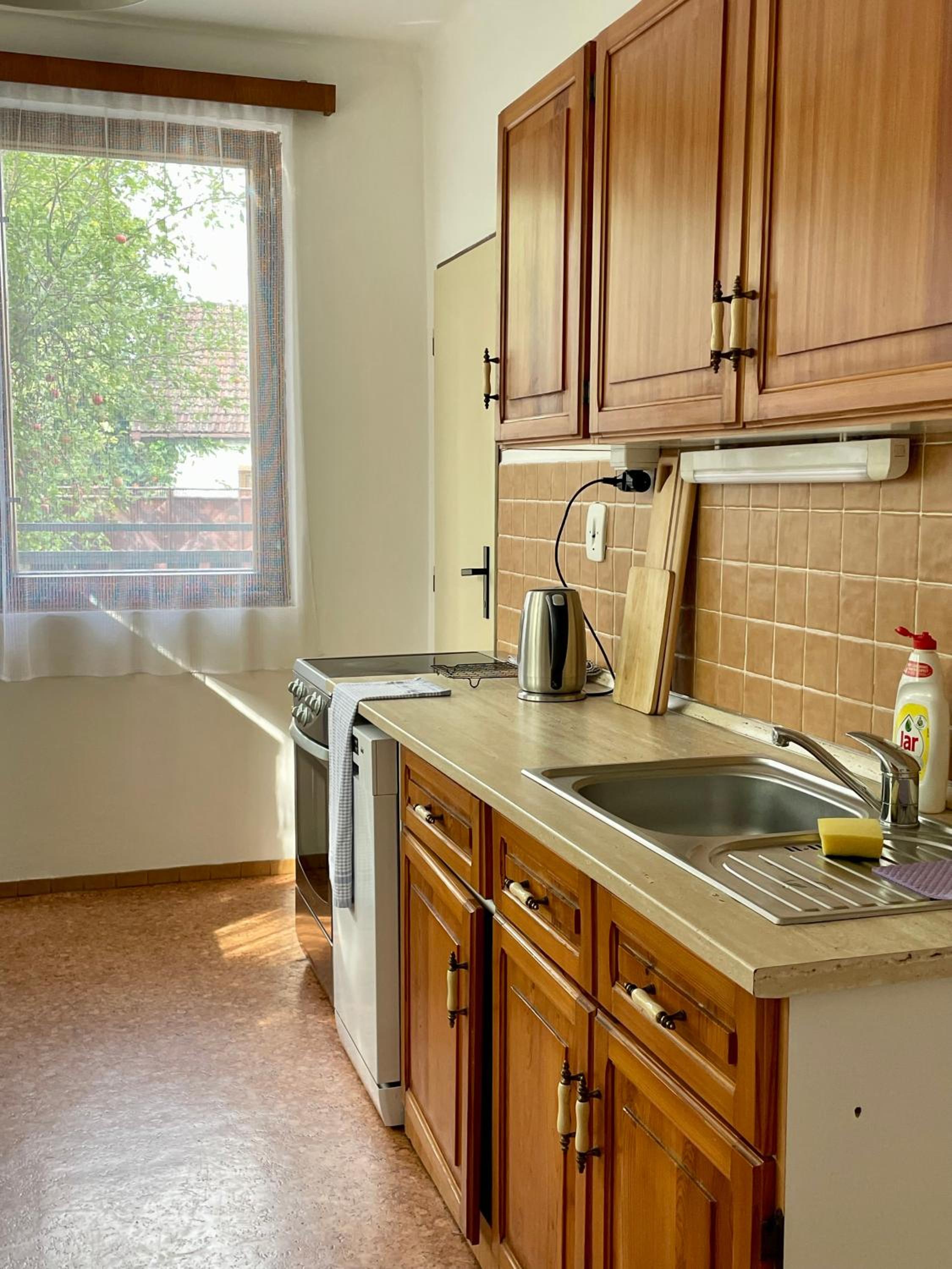 Apartment s terasou Lysá