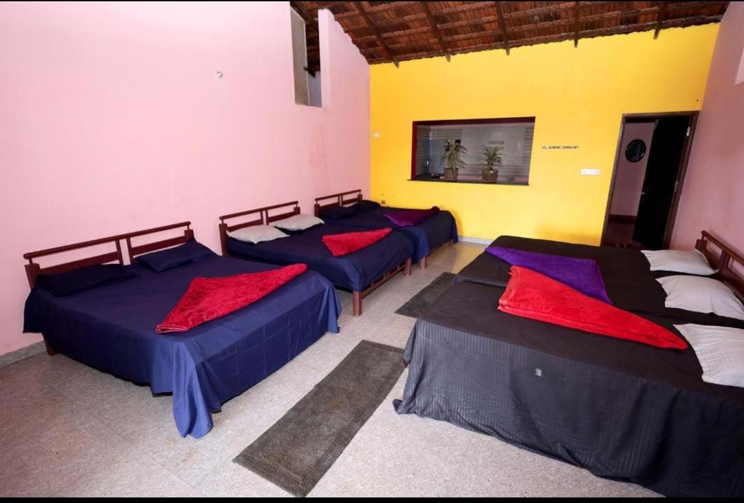 Mullayanagiri Homestay