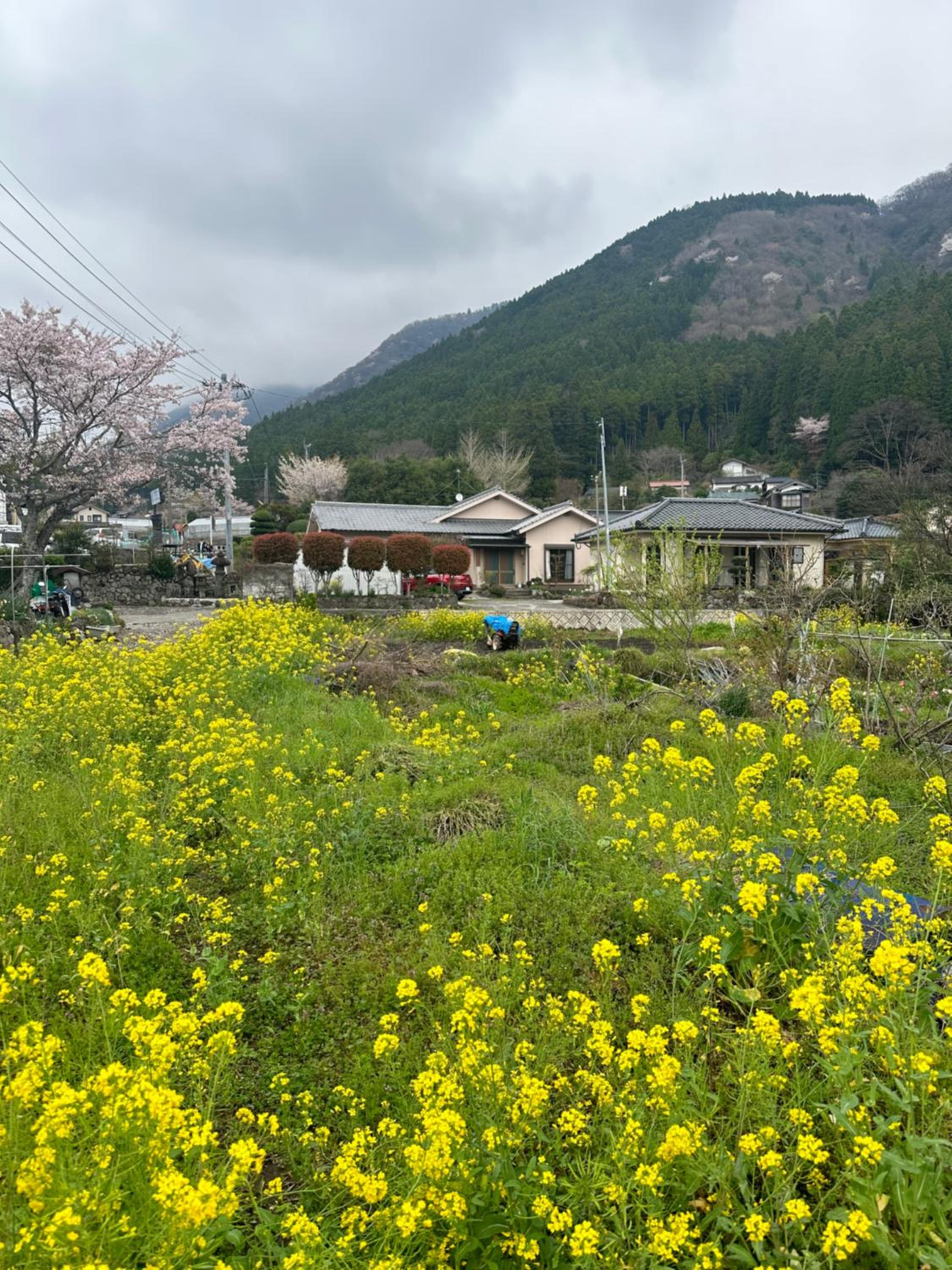 楽心館Yufuin Private Villa Rakushinkan