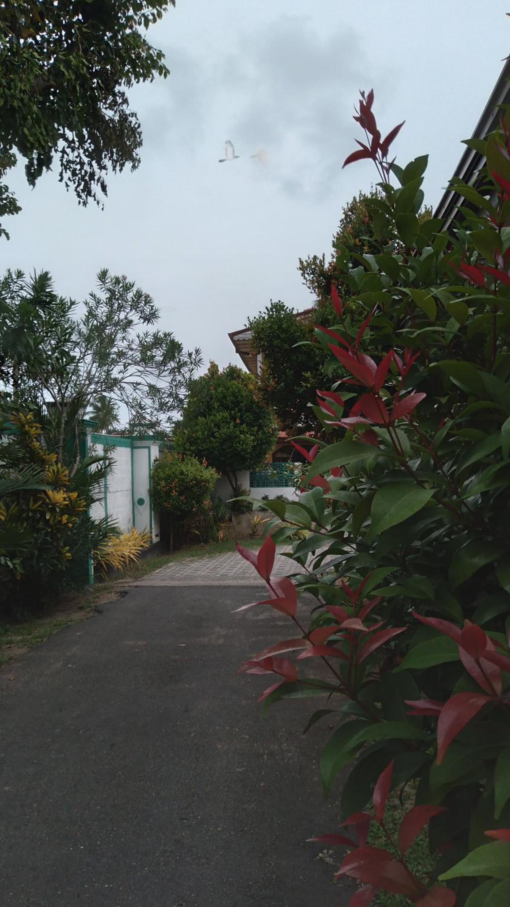 Photo 31