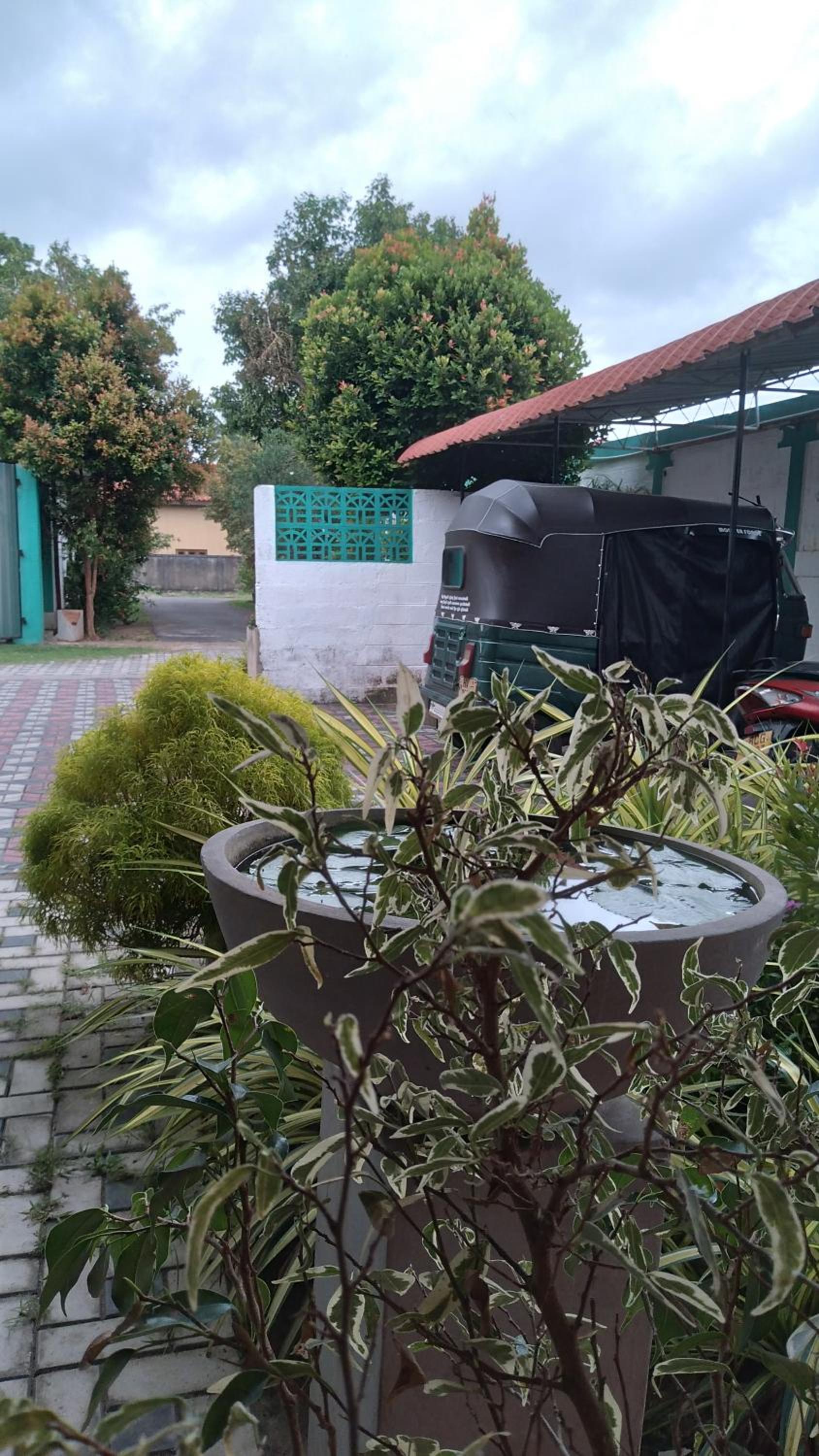 Mazz Homestay view 2