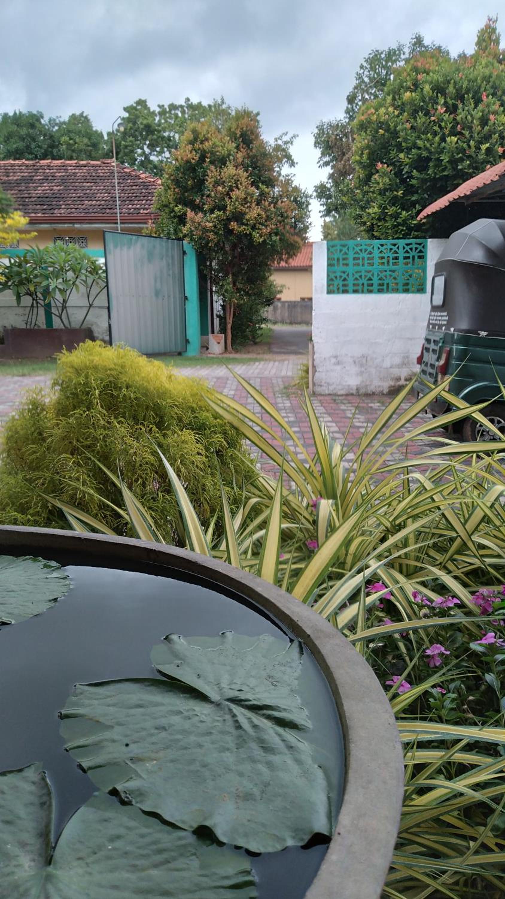 Mazz Homestay view 4