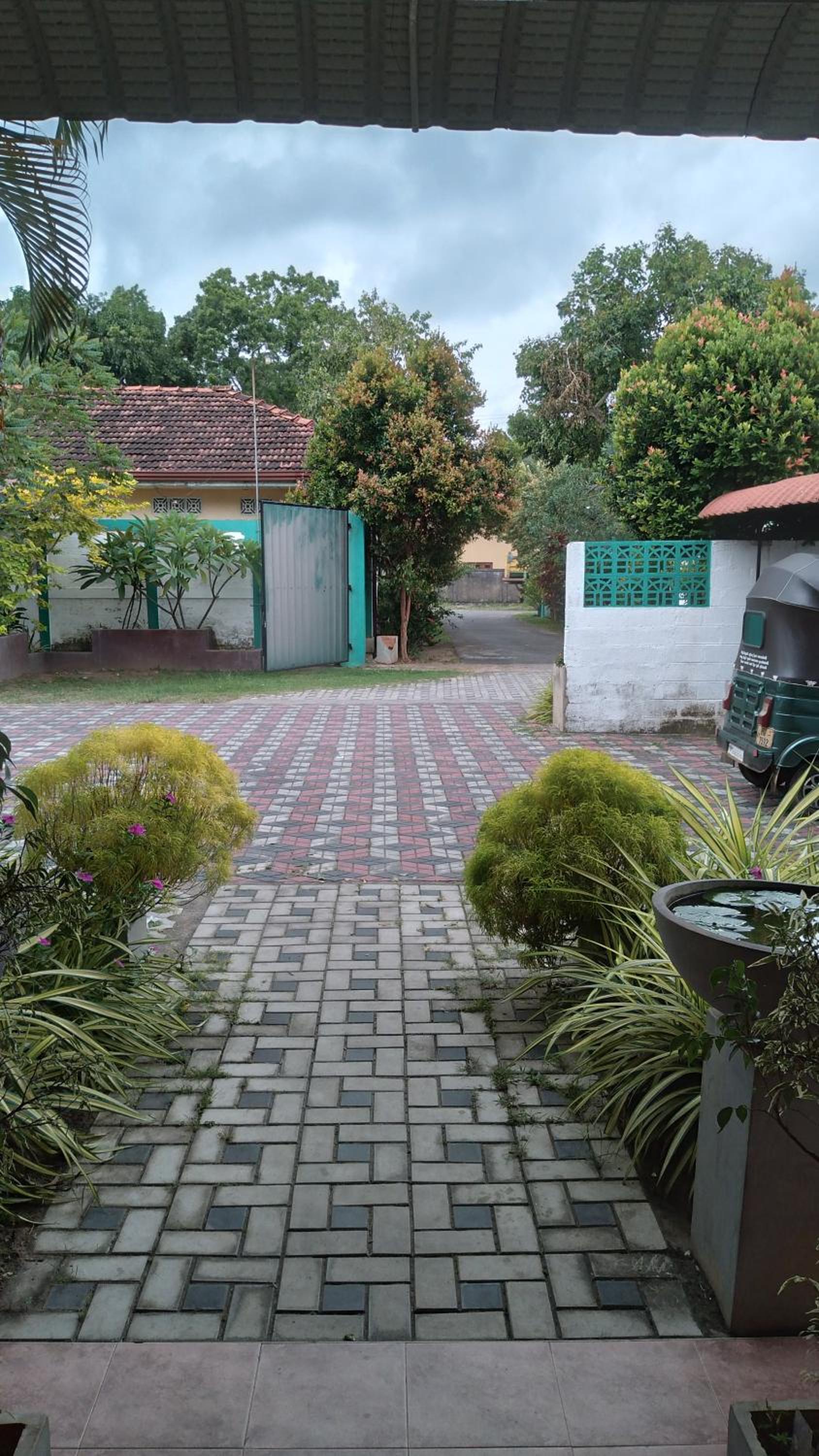 Photo 42