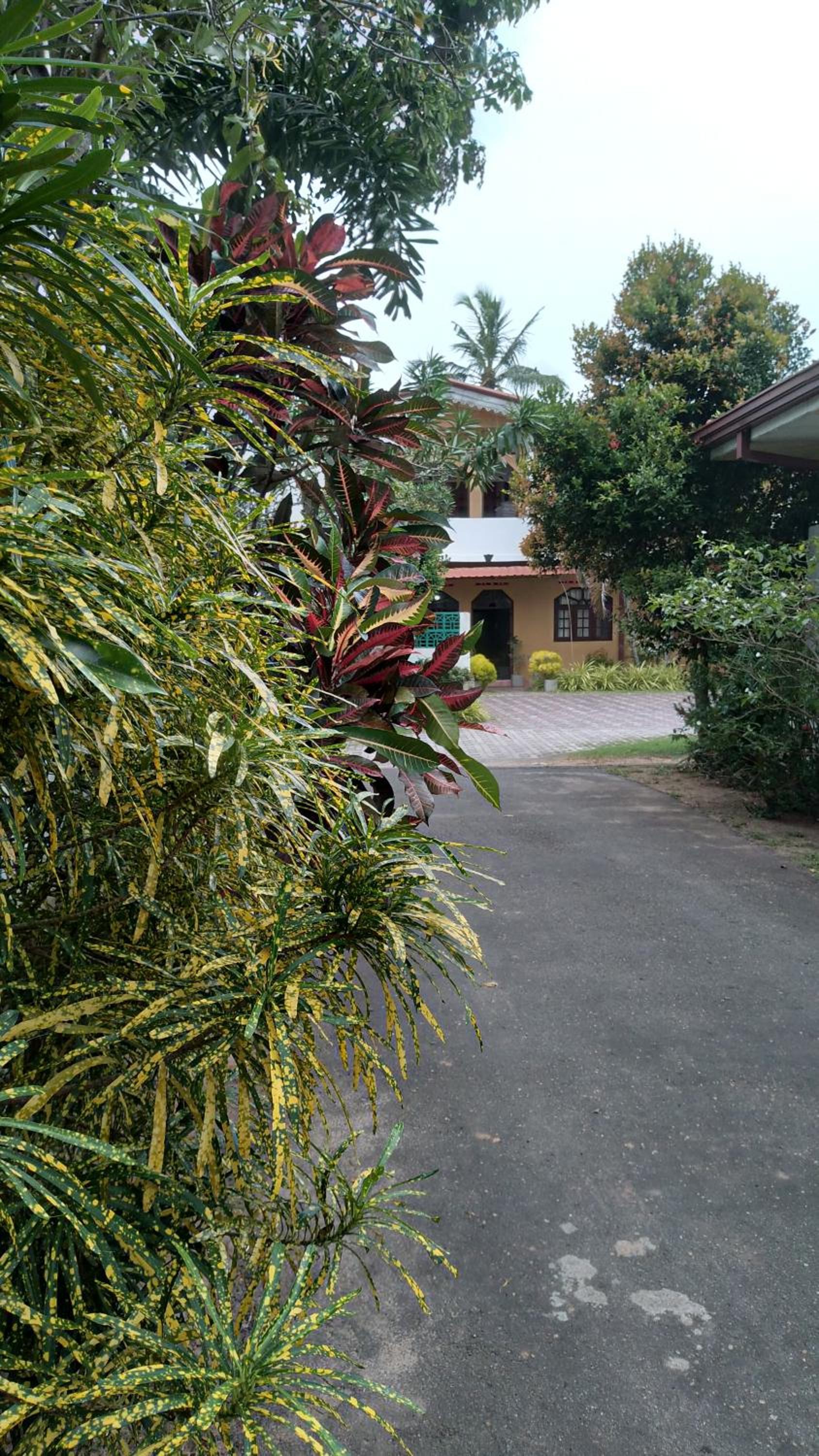 Photo 44