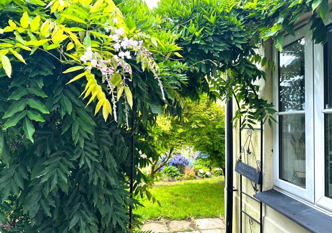 Wisteria House