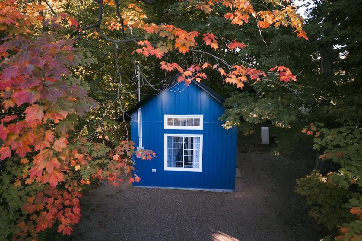 Blue Dreams Of Lake Simcoe