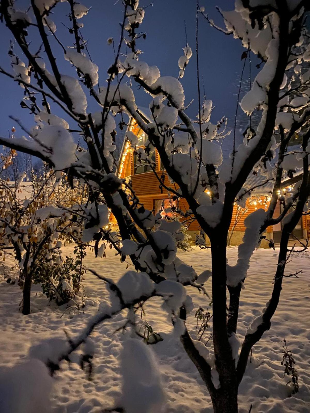 Moonlake Chalet