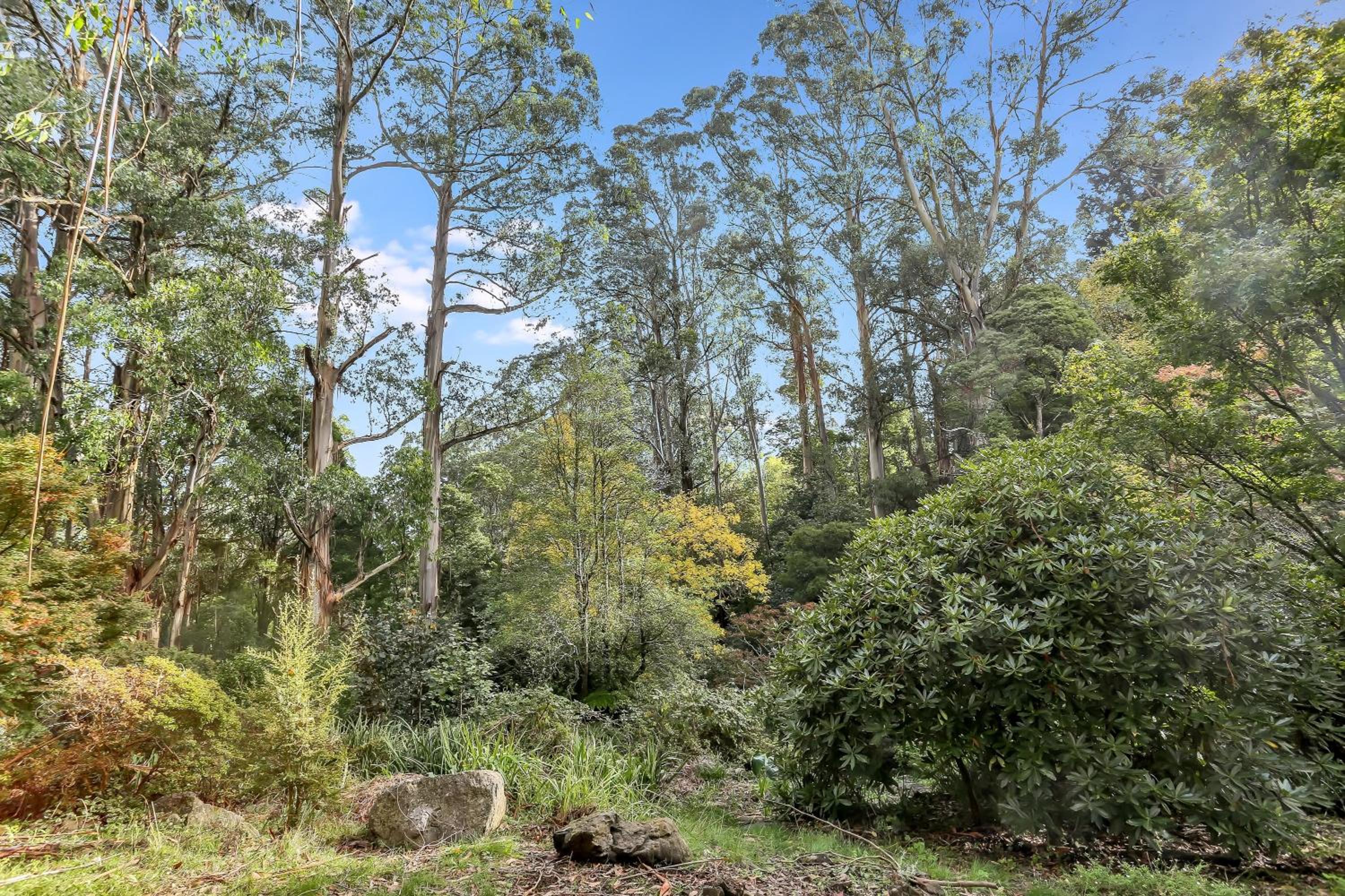 Magnolia Retreat - Rocky Creek Art Garden