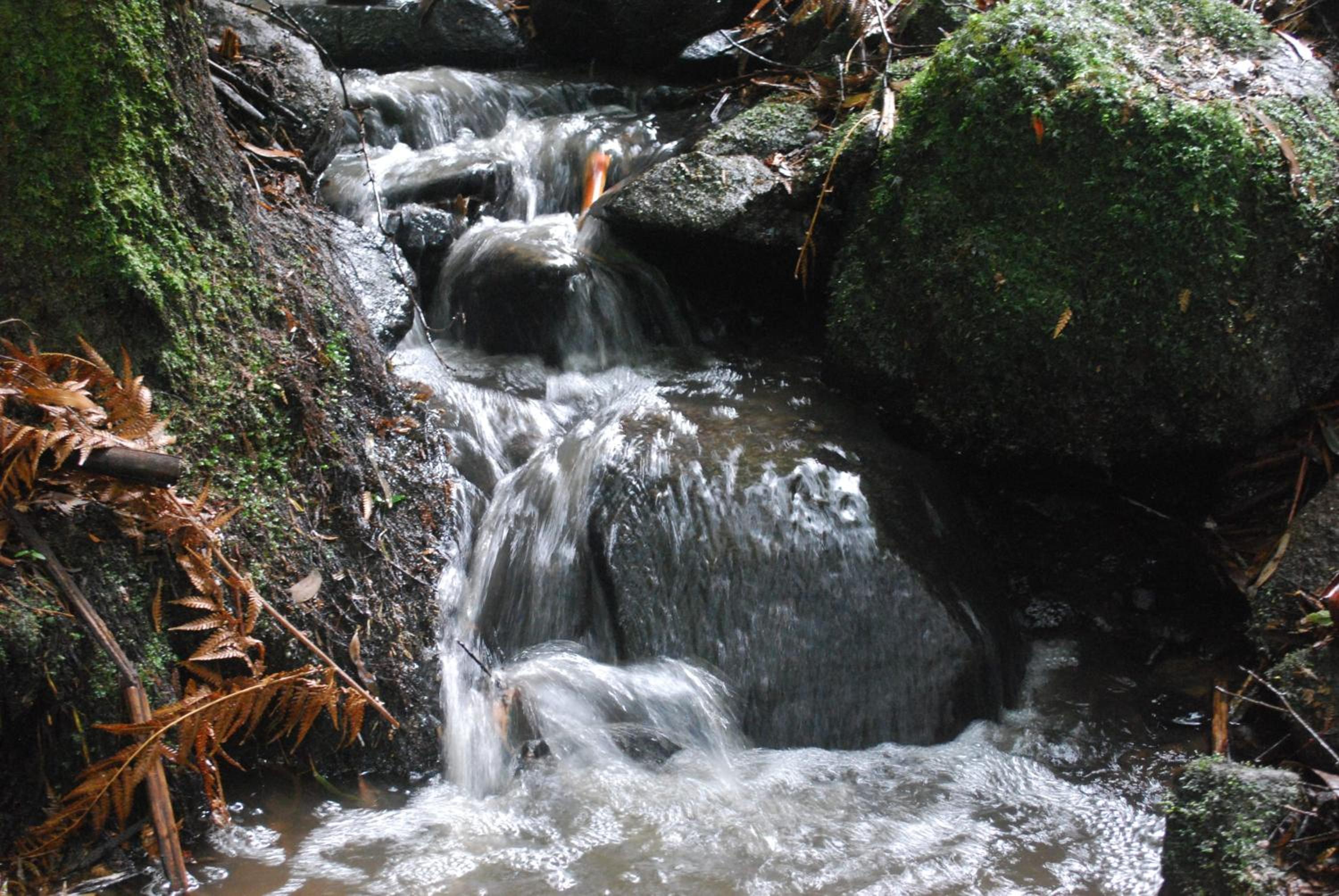 Magnolia Retreat - Rocky Creek Art Garden
