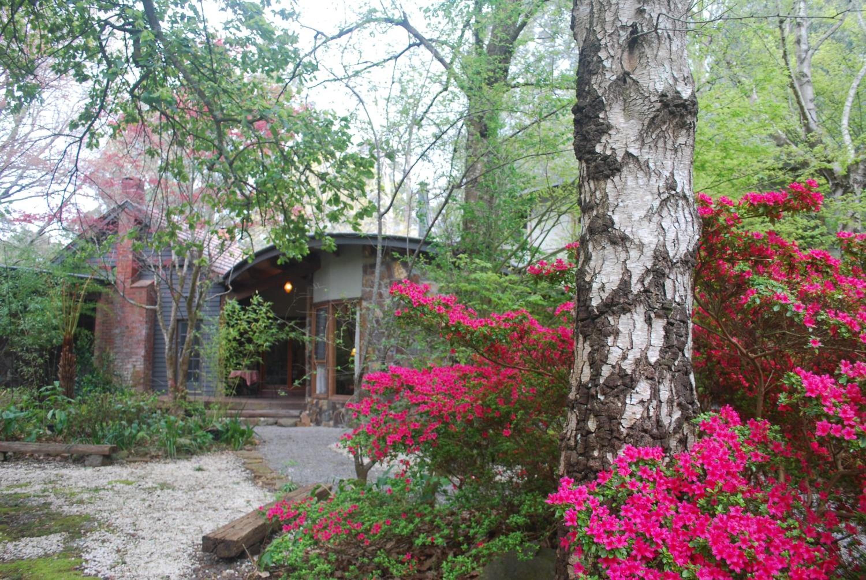 Birch Suite - Rocky Creek Art Garden