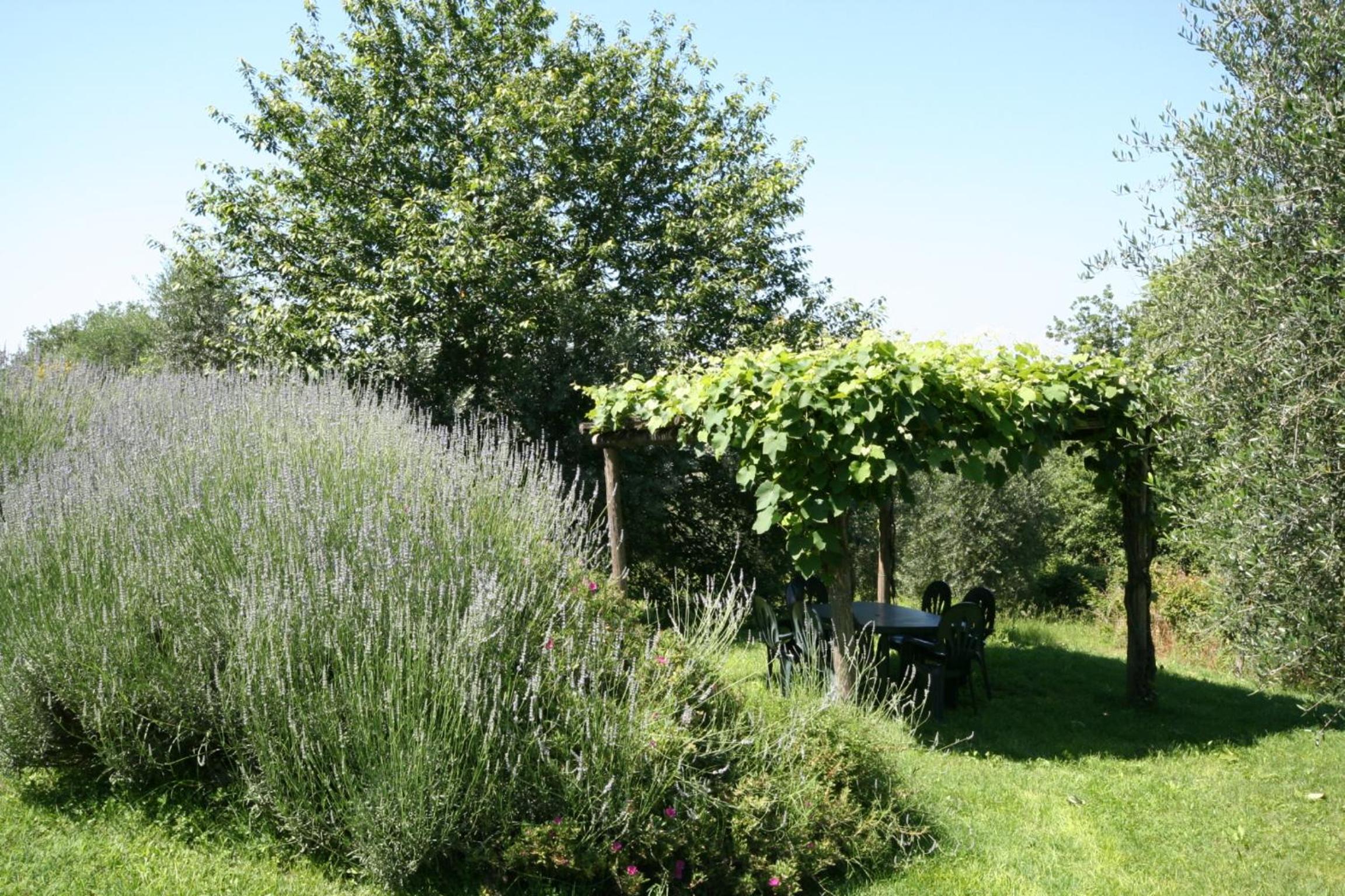 Photo 28