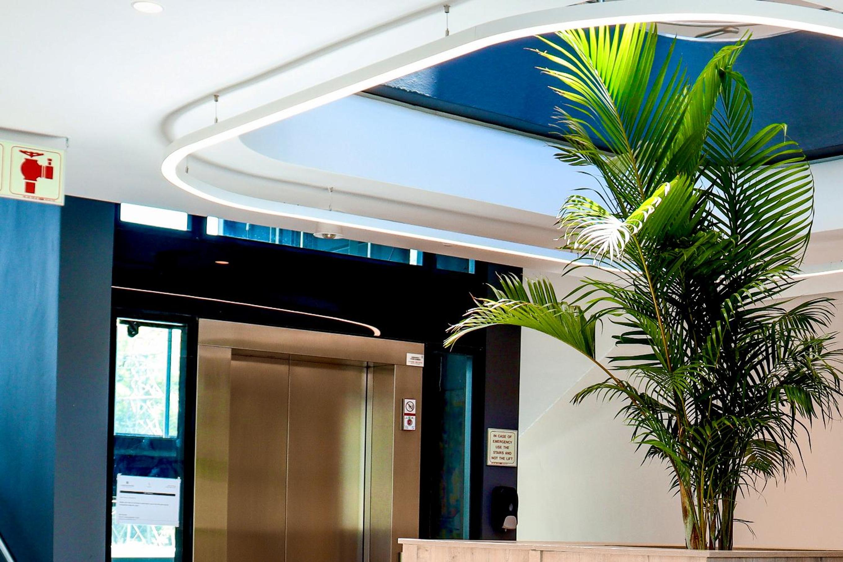 recepcion & lobby