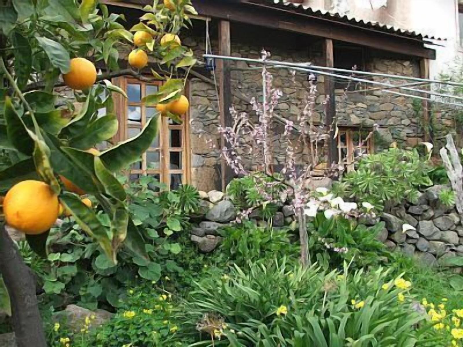 Historisches Bauernhaus