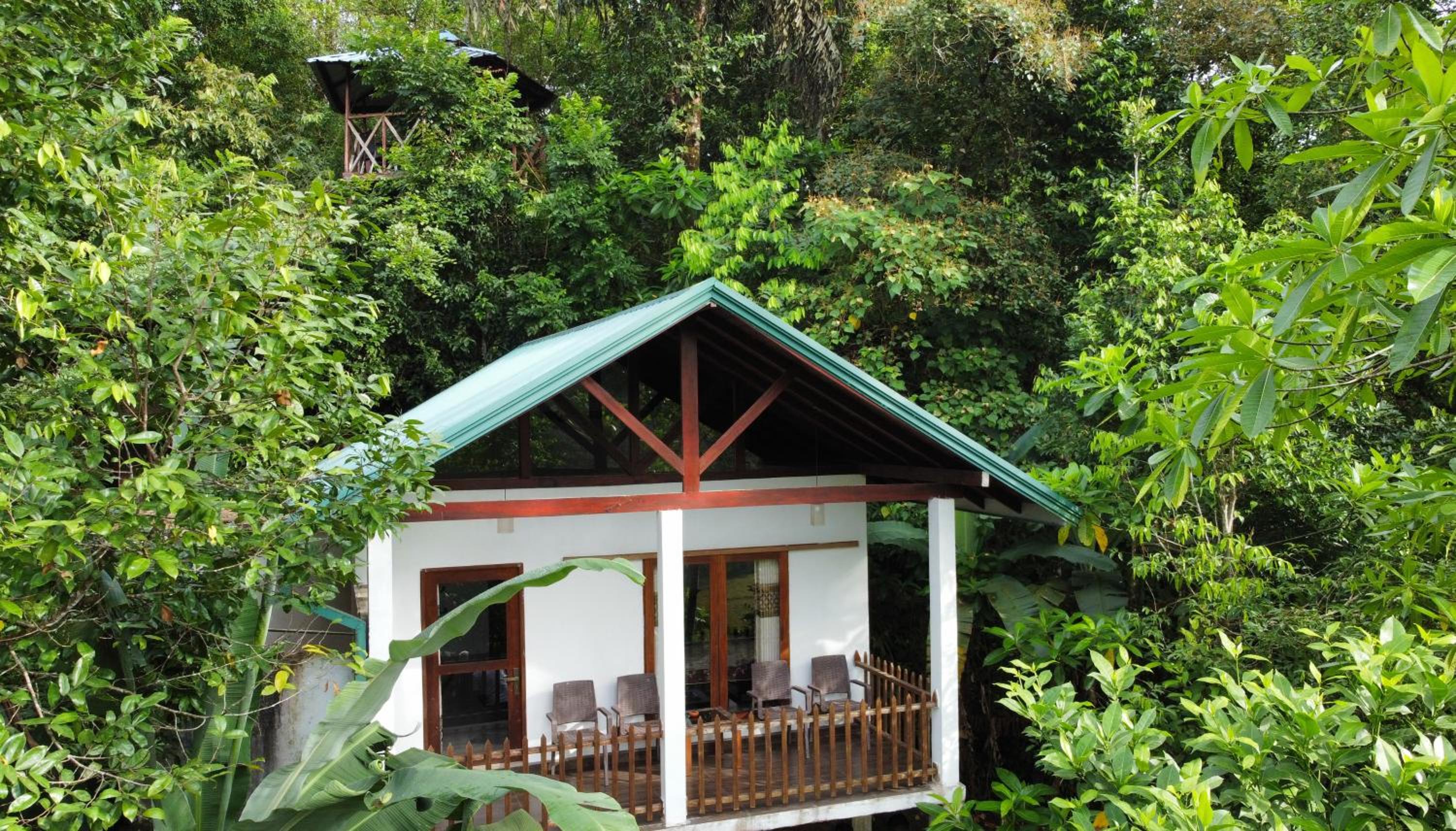 Sinharaja Rest