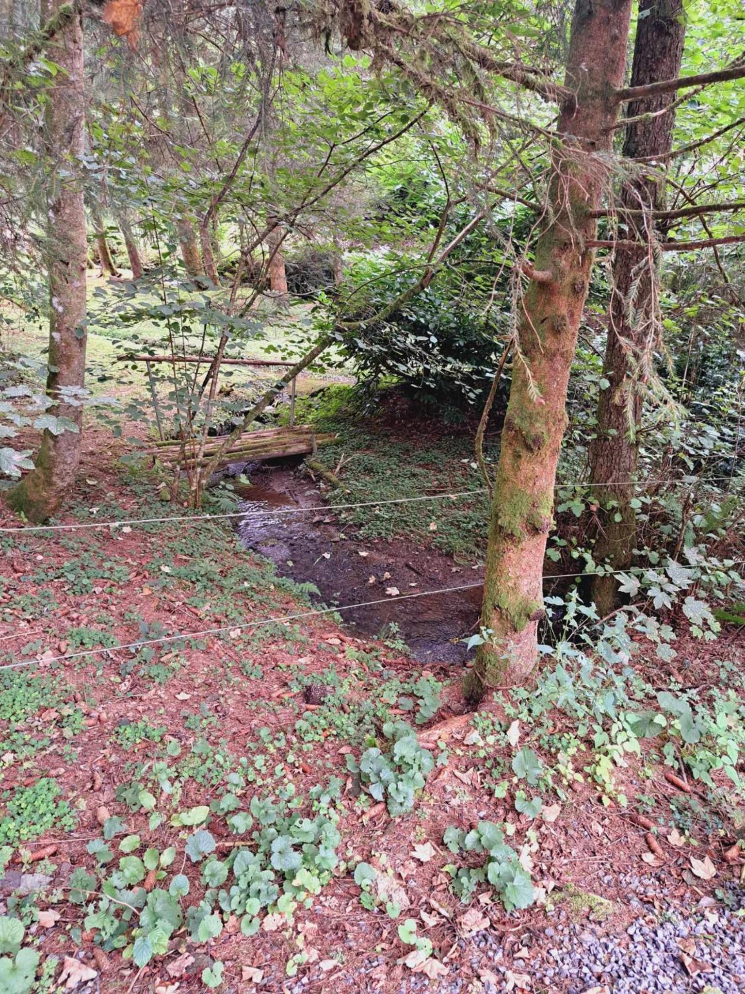 Le Ri de Vâ Maboge La Roche en Ardenne