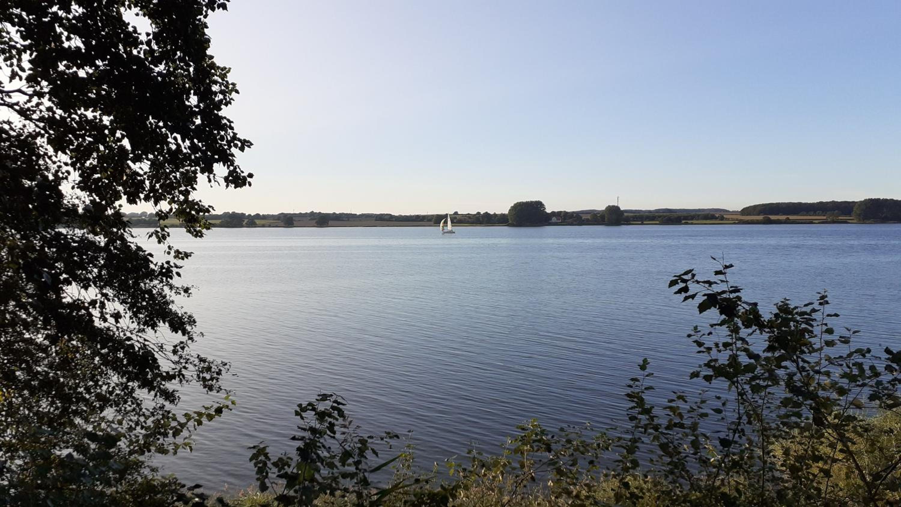 Ferienhaus Waldidyll - Erholung zwischen Schlei und Ostsee