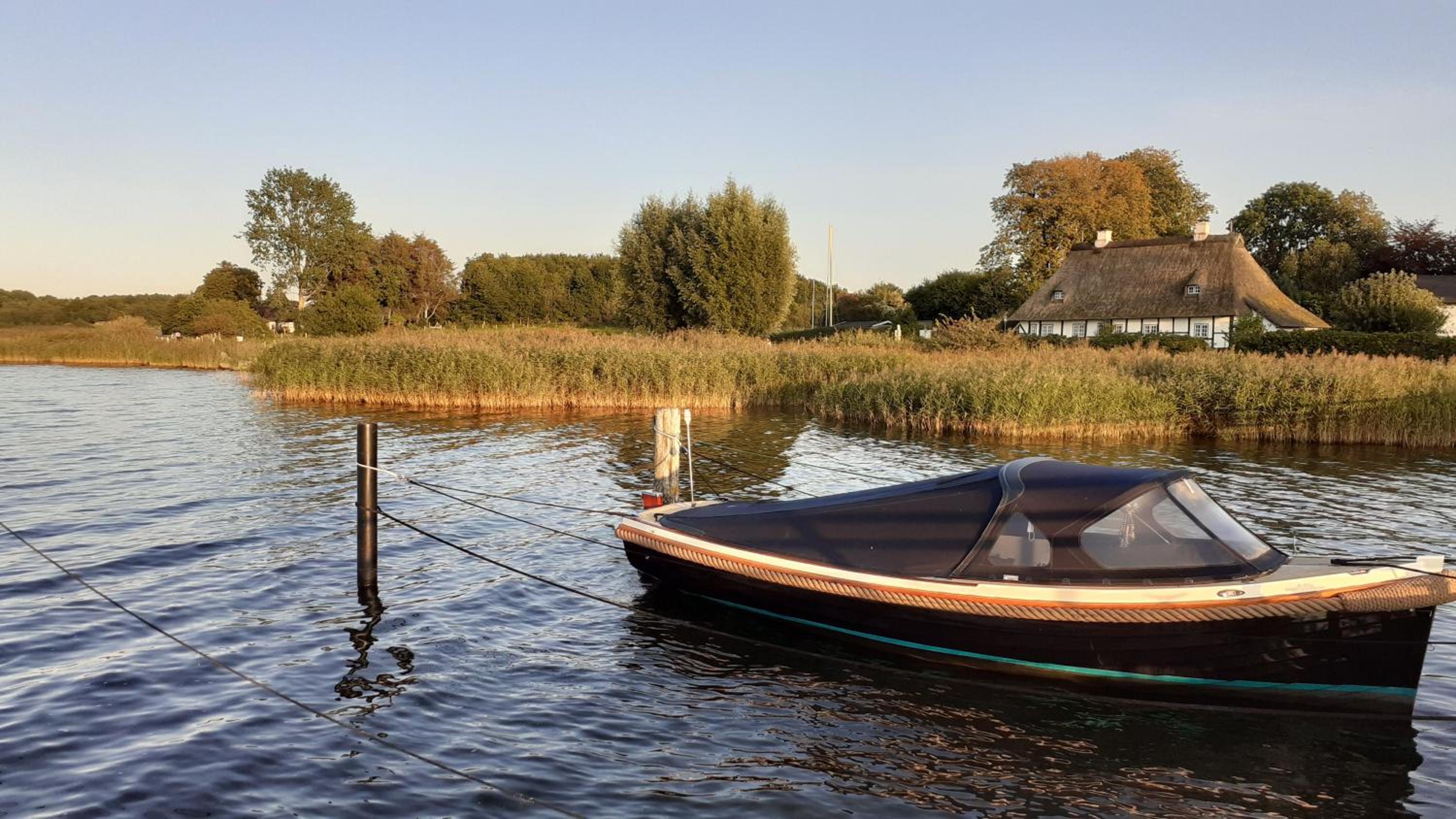 Ferienhaus Waldidyll - Erholung zwischen Schlei und Ostsee