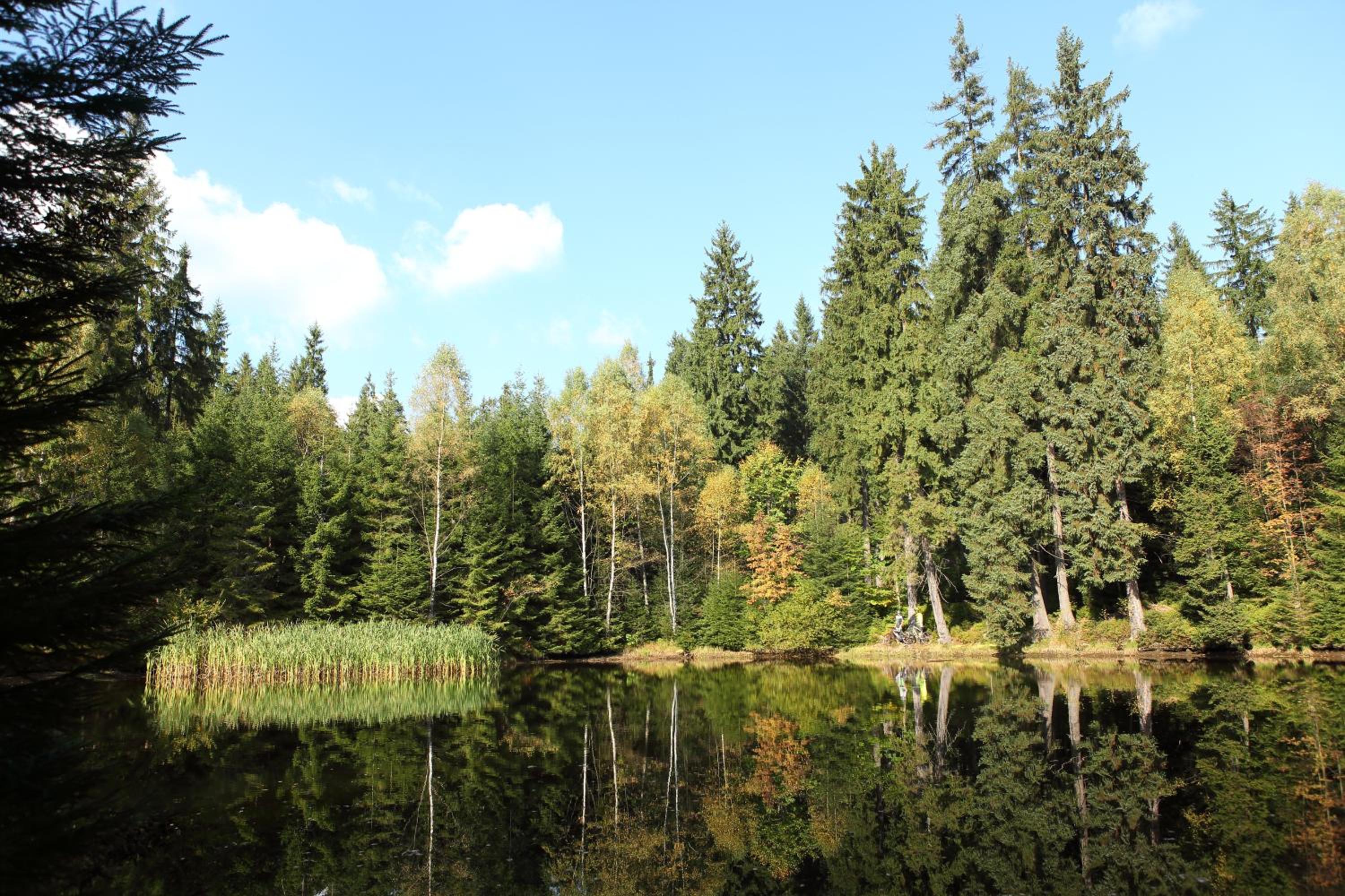 Mountain Apartment Resident - relax s wellness, terasou a soukromou garáží