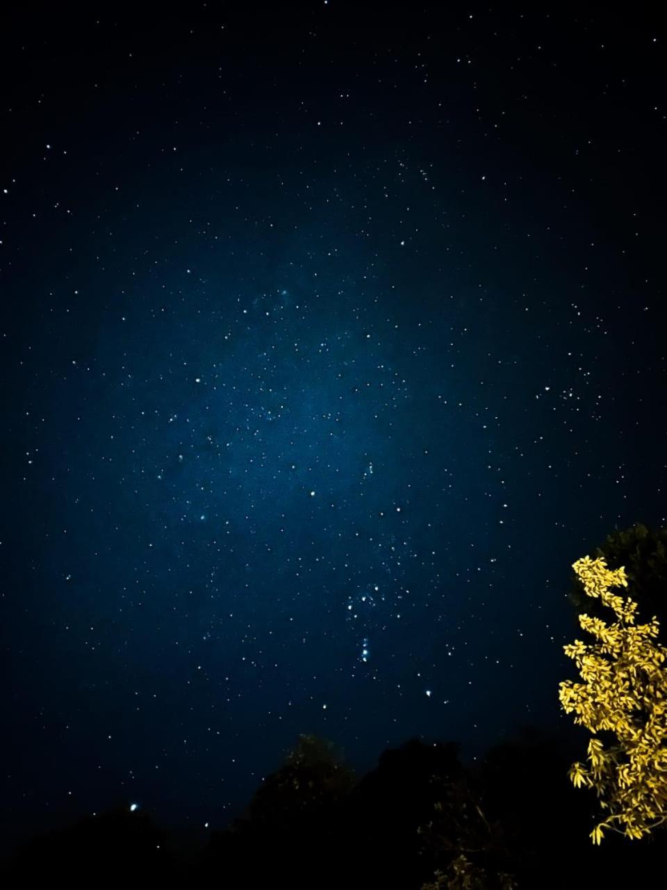 Saanidhya Mountain Camps - Himalayan Trails with Star Gazing and Bird Watching in Mukhteshwar