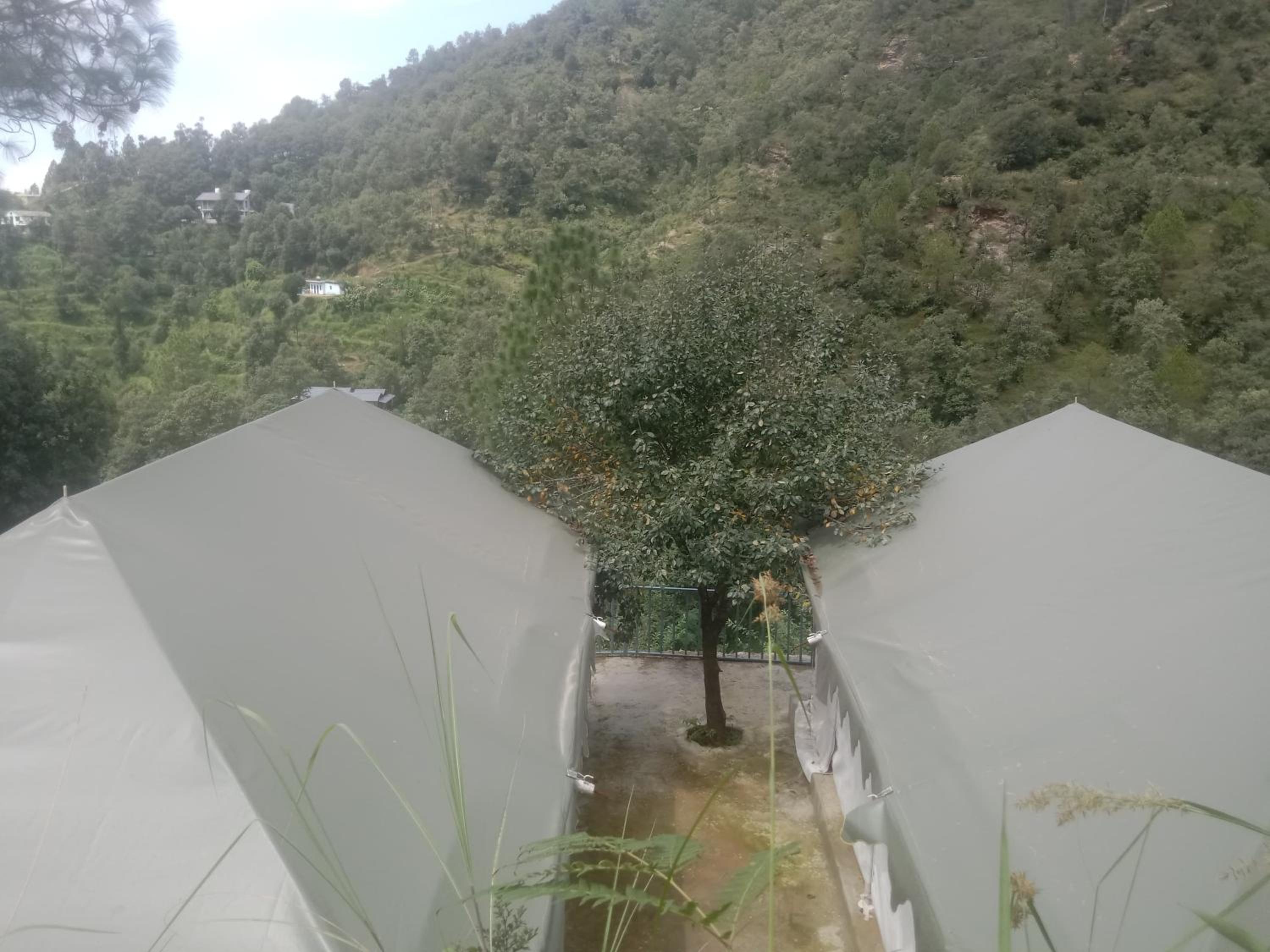 Saanidhya Mountain Camps - Himalayan Trails with Star Gazing and Bird Watching in Mukhteshwar
