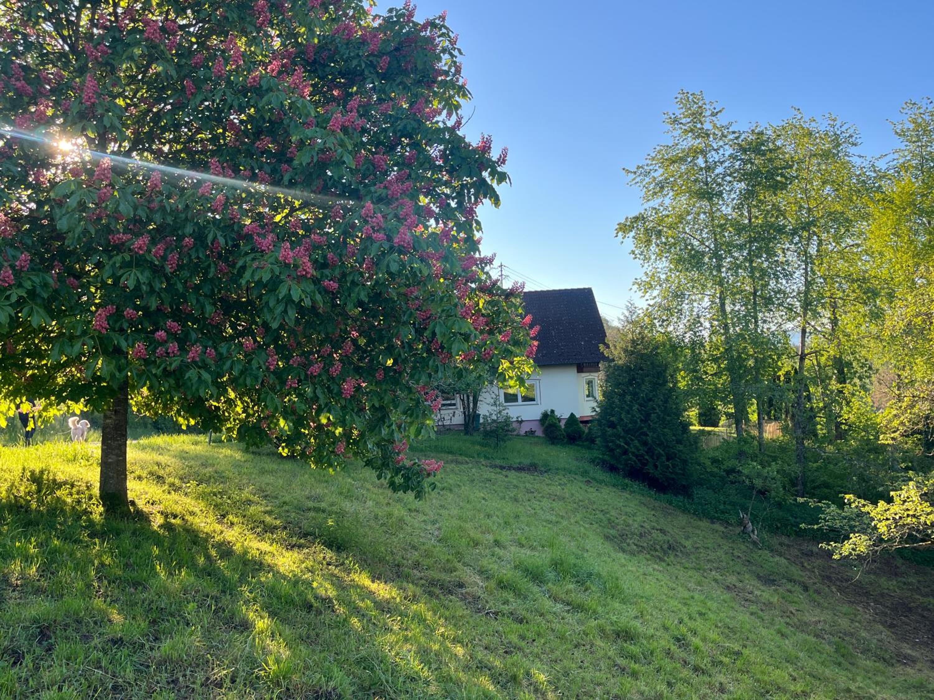 Landhaus-Villa auf dem Berg