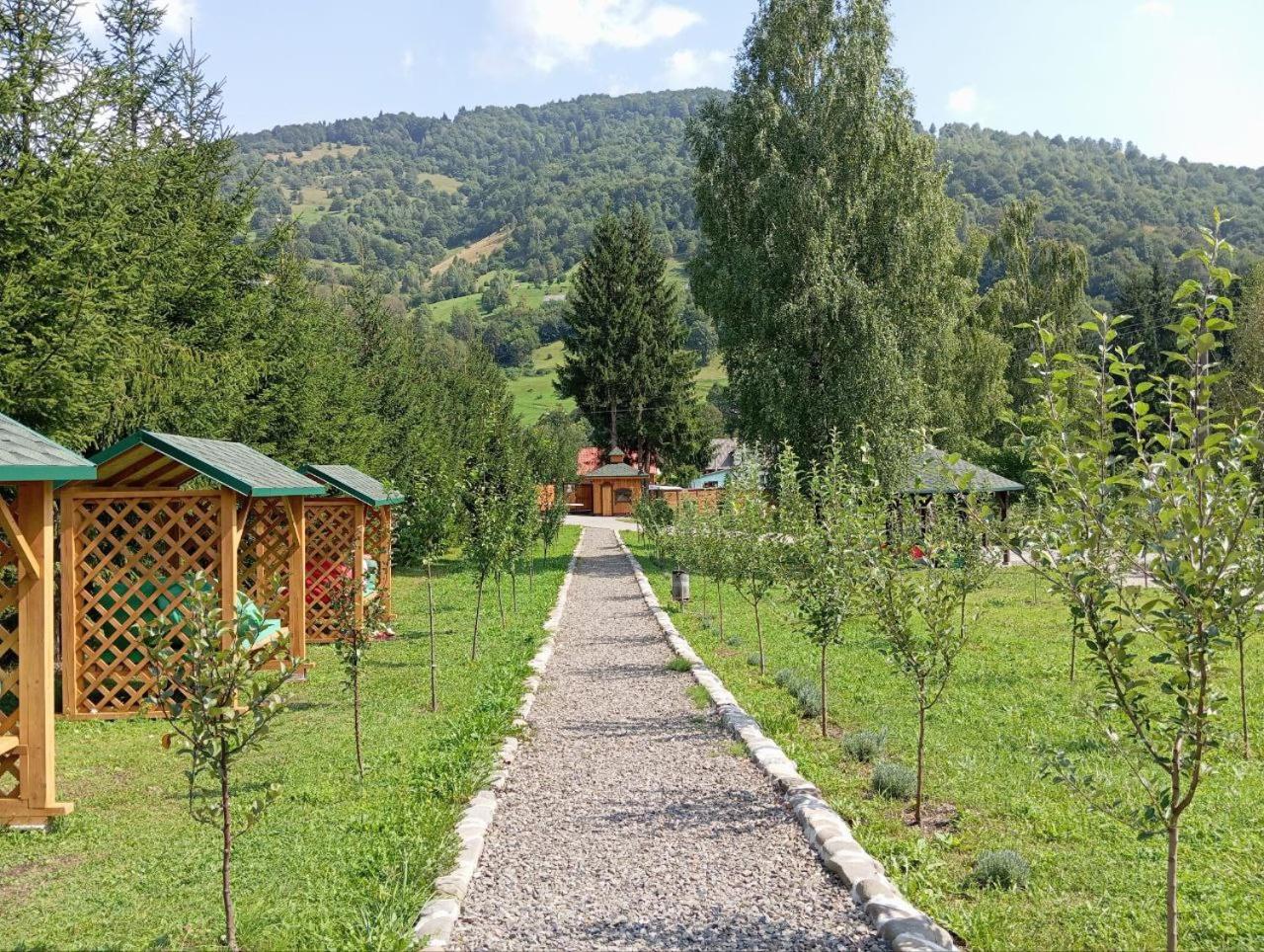 Girska Tysa Health Resort view 5
