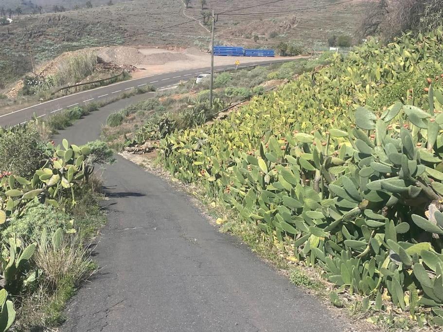 Casa Vista Hermosa Alajero