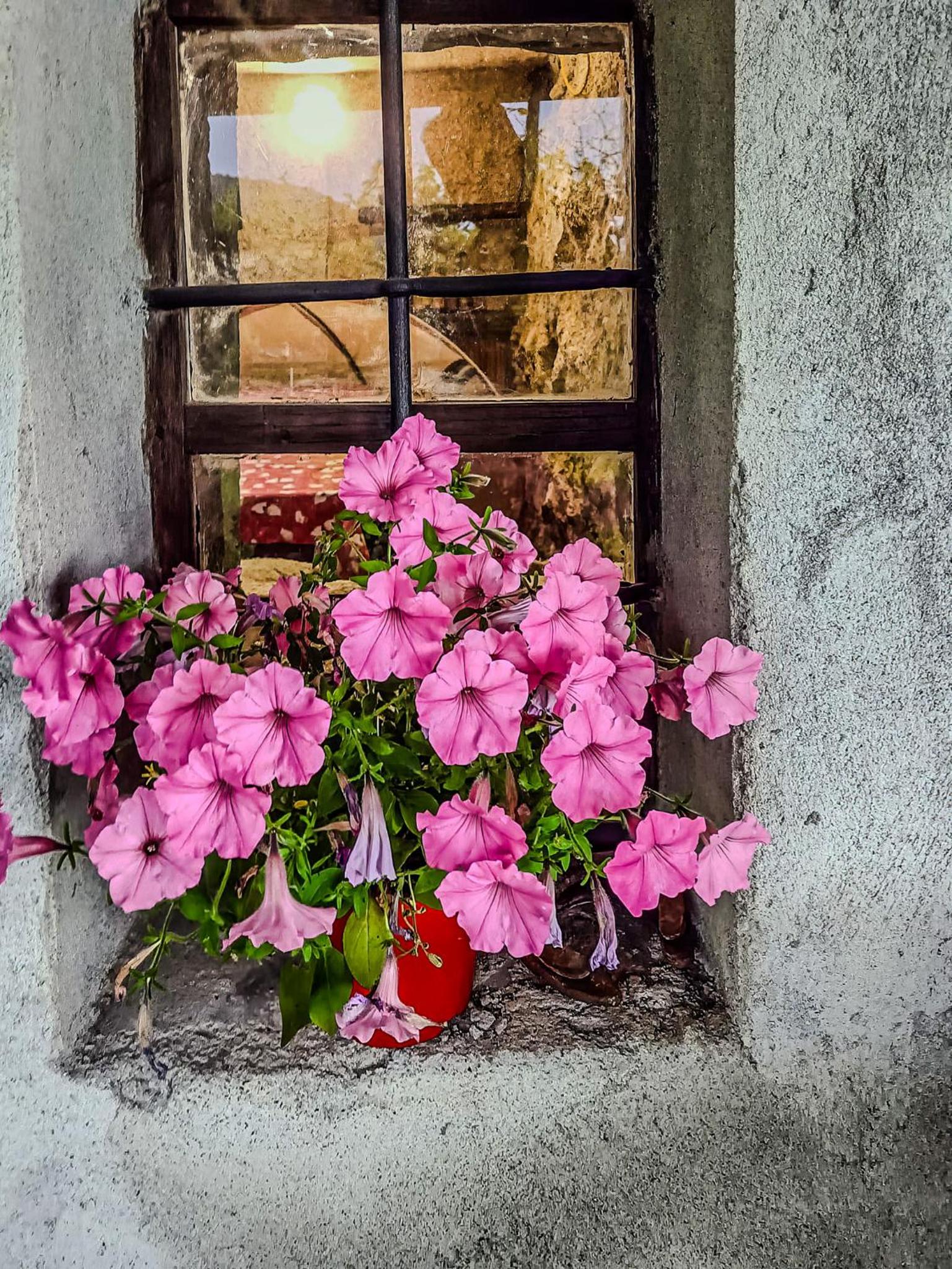 Chalet di montagna in pietra - Val di Chy