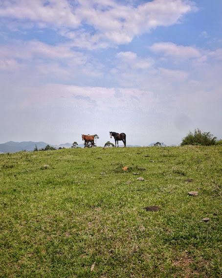 Fazenda Monte Verde a Morada do Muriqui view 5