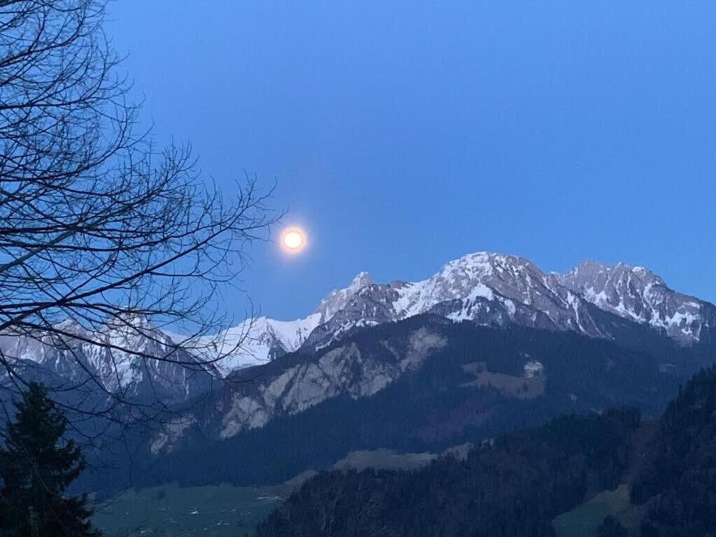Alps Chalet for Big Group with Sauna Yoga Terrace