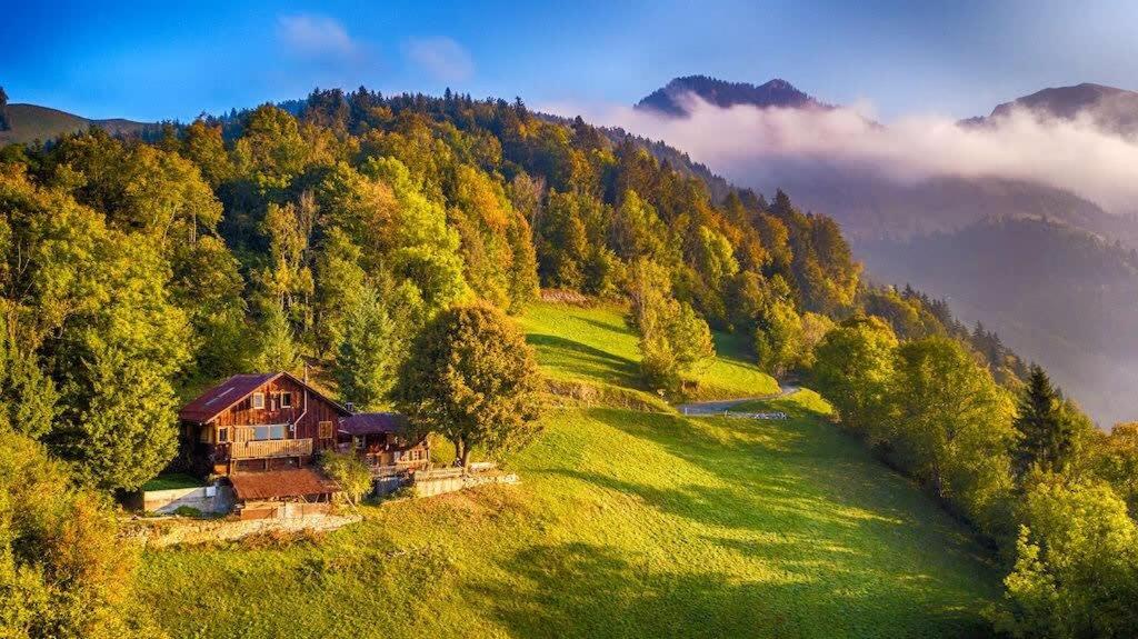 Alps Chalet for Big Group with Sauna Yoga Terrace