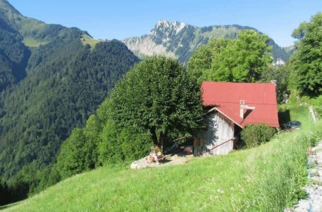 Alps Chalet for Big Group with Sauna Yoga Terrace