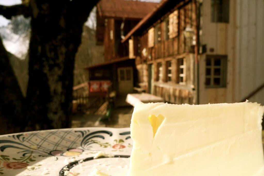 Alps Chalet for Big Group with Sauna Yoga Terrace