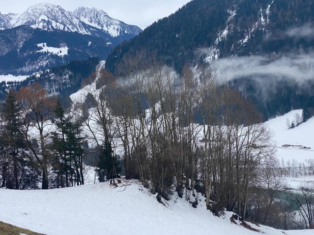 Alps Chalet for Big Group with Sauna Yoga Terrace