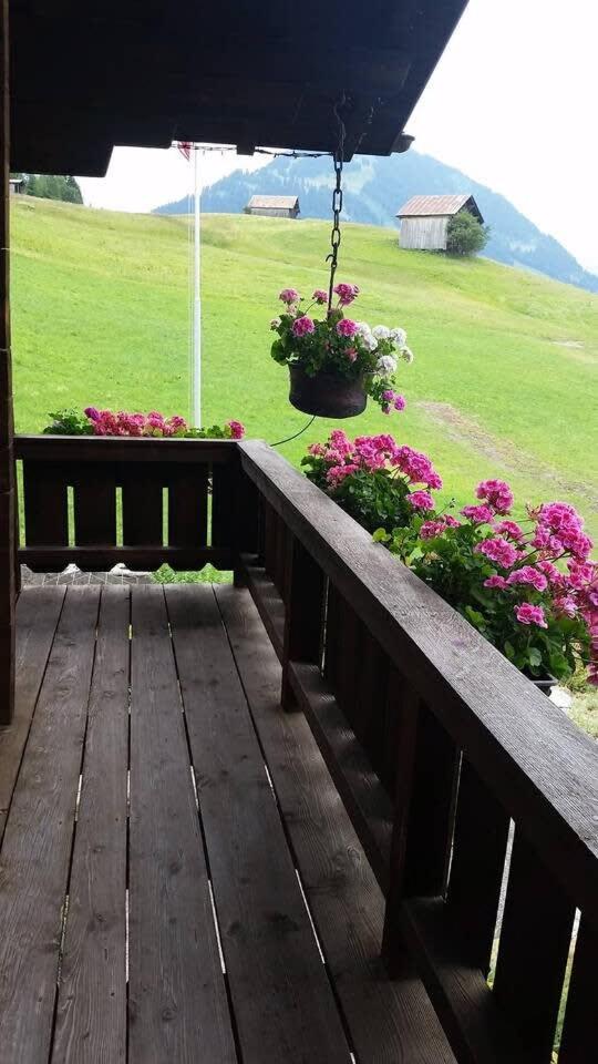 Gstaad Duplex Flat - Amazing Lake Chalet with pond