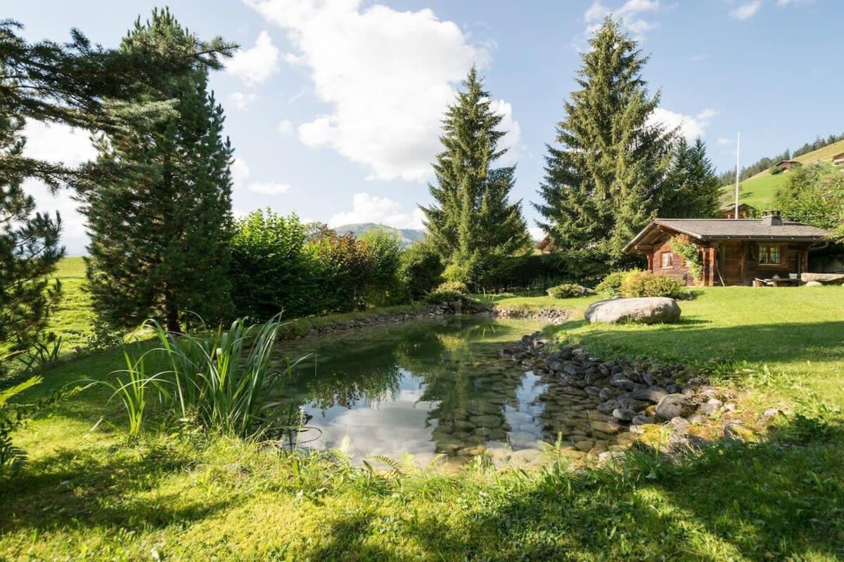 Gstaad Duplex Flat - Amazing Lake Chalet with pond