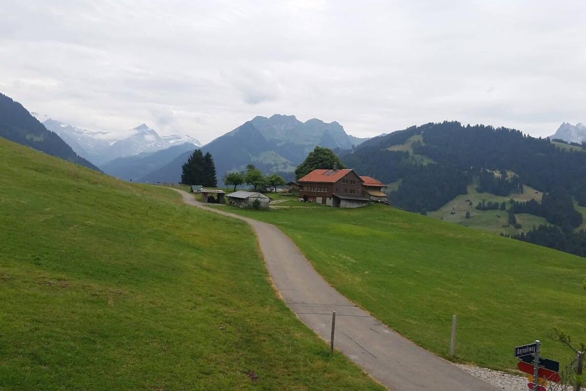 Gstaad Duplex Flat - Amazing Lake Chalet with pond