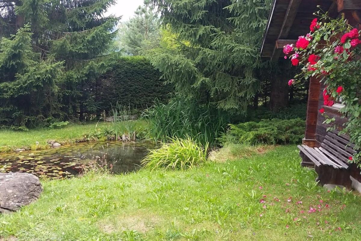 Gstaad Duplex Flat - Amazing Lake Chalet with pond