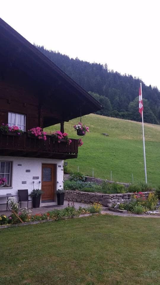 Gstaad Duplex Flat - Amazing Lake Chalet with pond