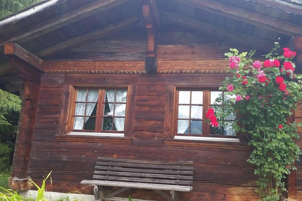 Gstaad Duplex Flat - Amazing Lake Chalet with pond