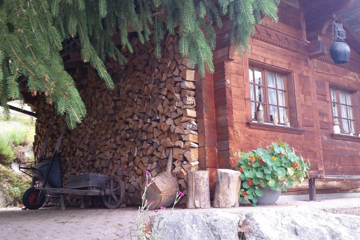 Gstaad Duplex Flat - Amazing Lake Chalet with pond