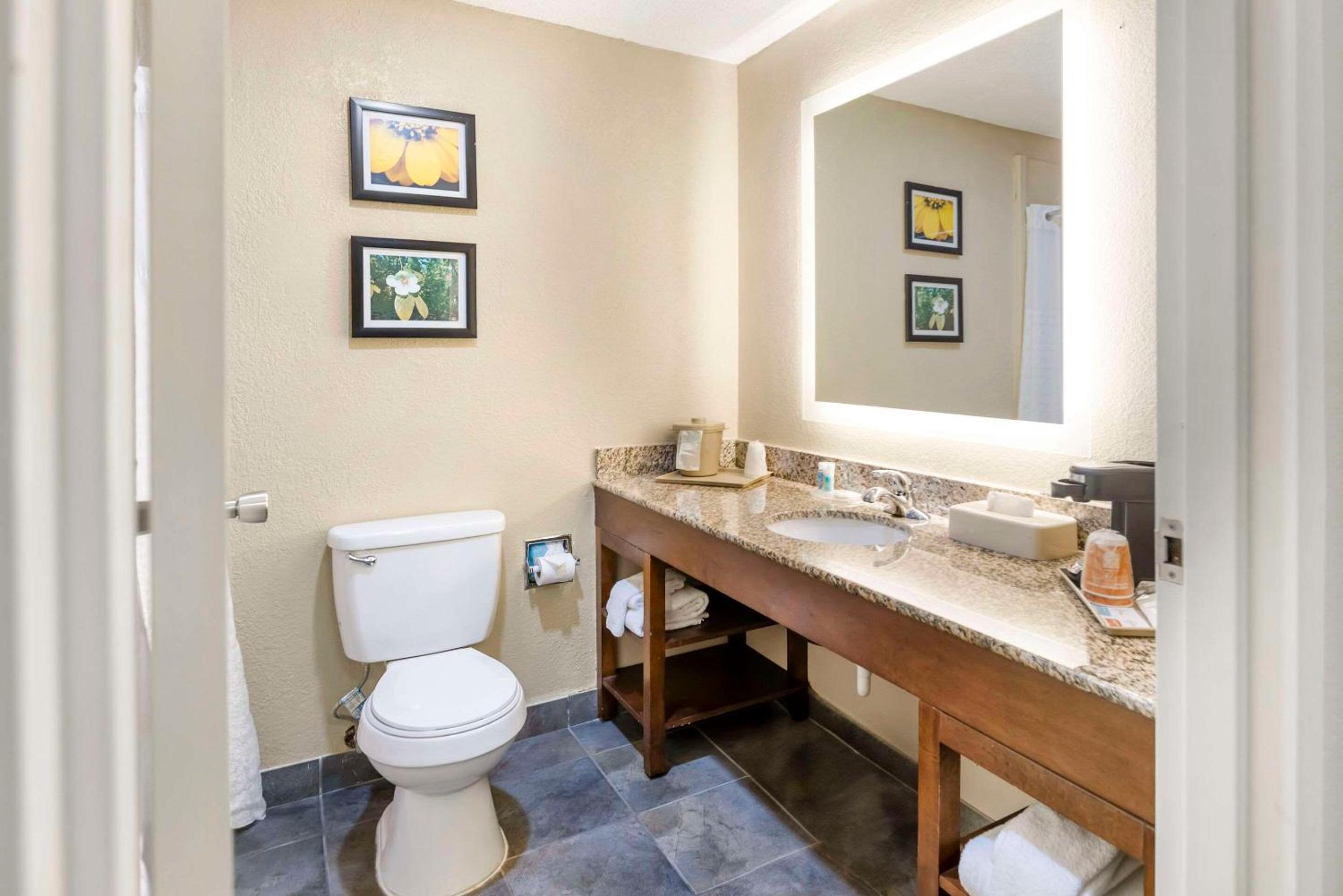 Meridian Vacations - Comfort Inn - Property Image 5