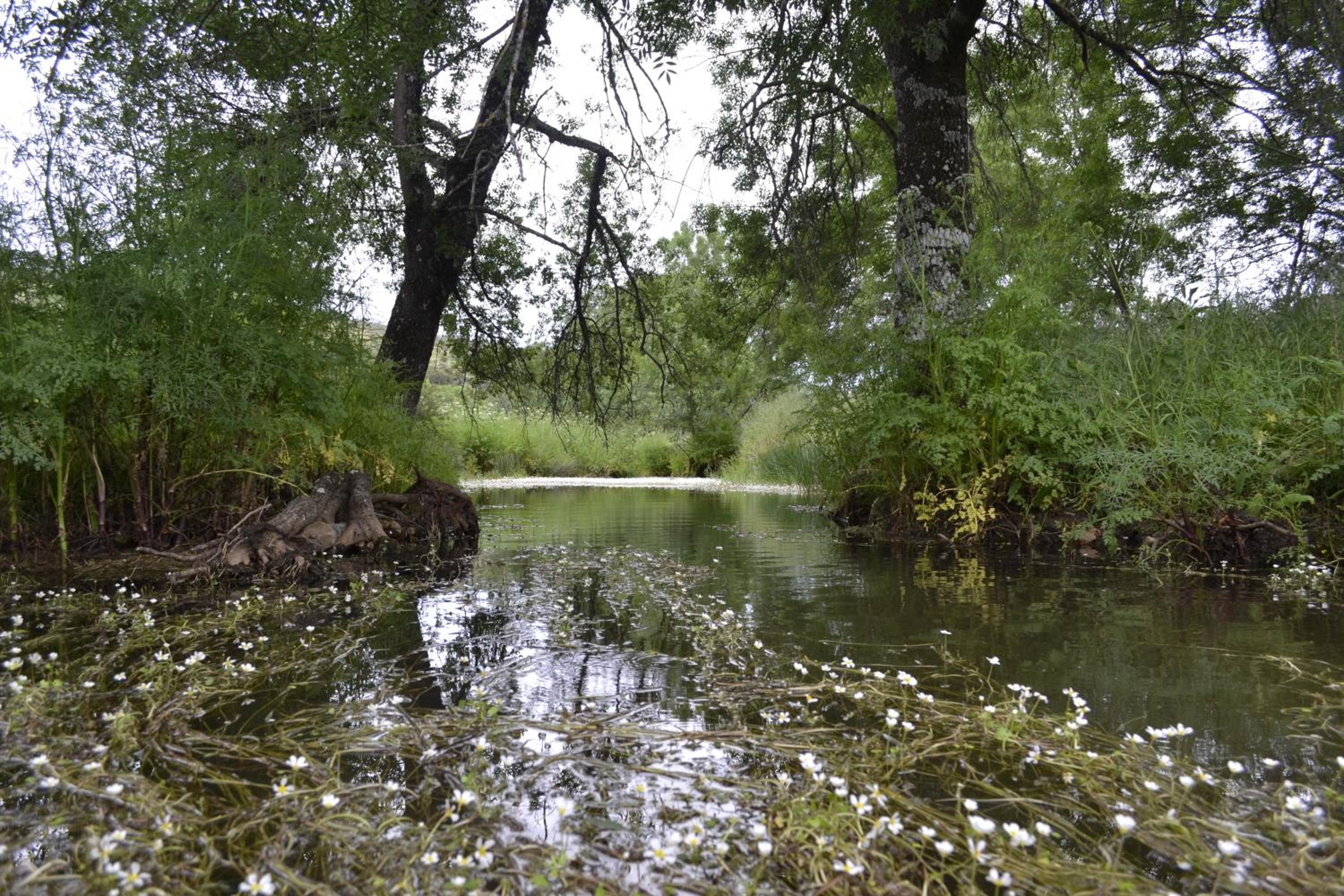 Monte Barata WildLife Tourism