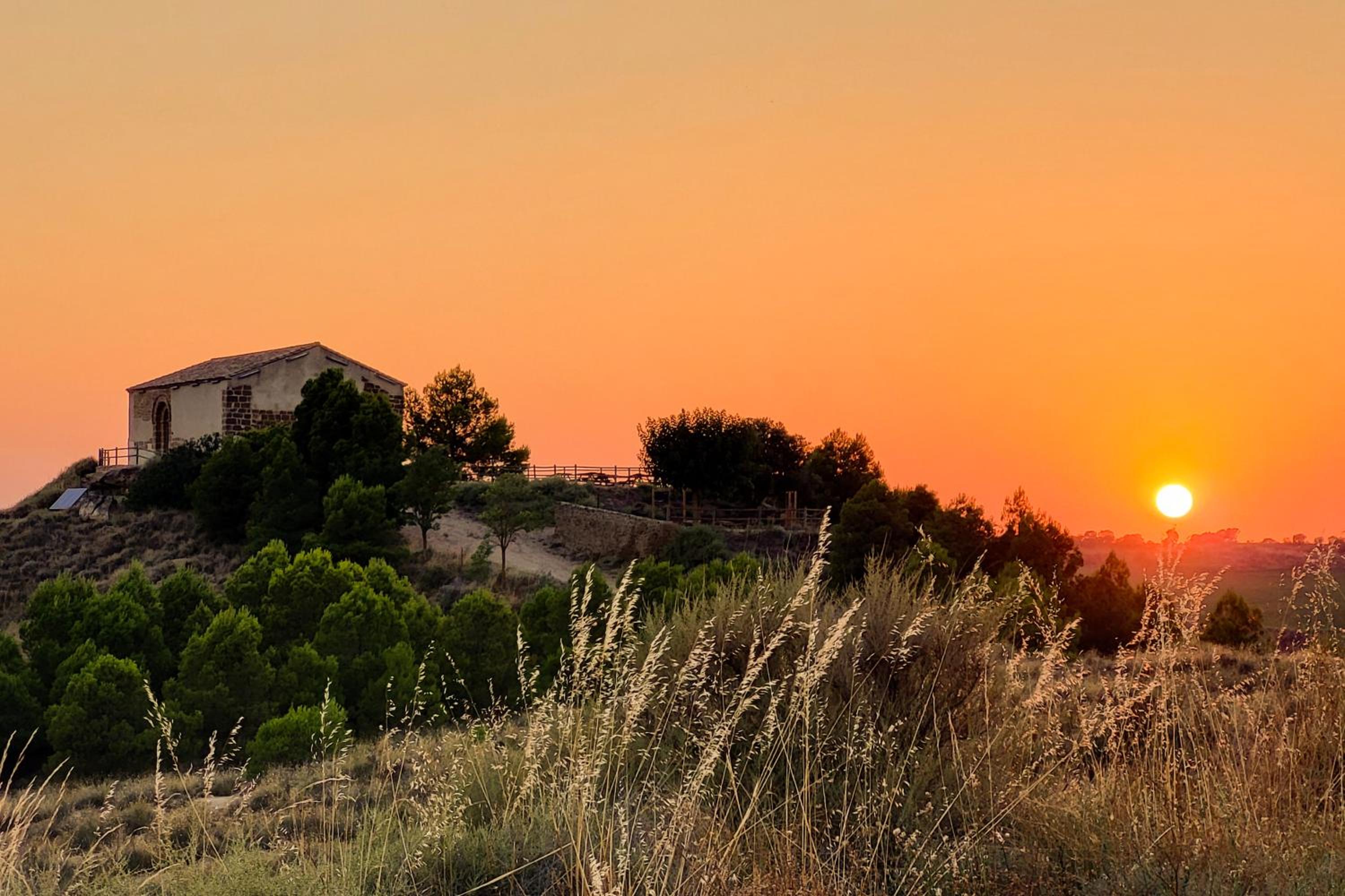 Descubre Somontano