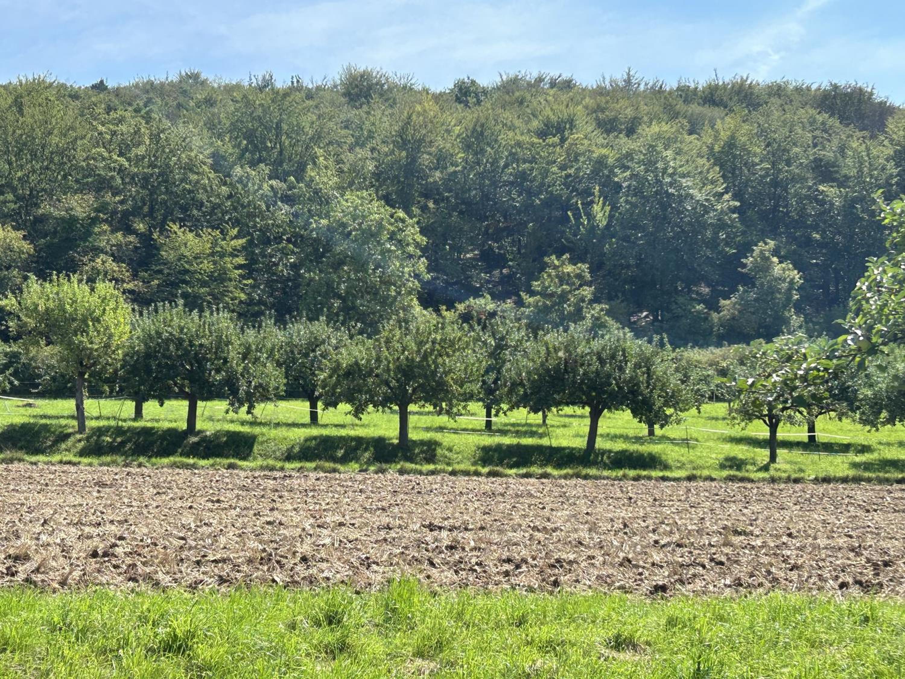 Fewoimdorf