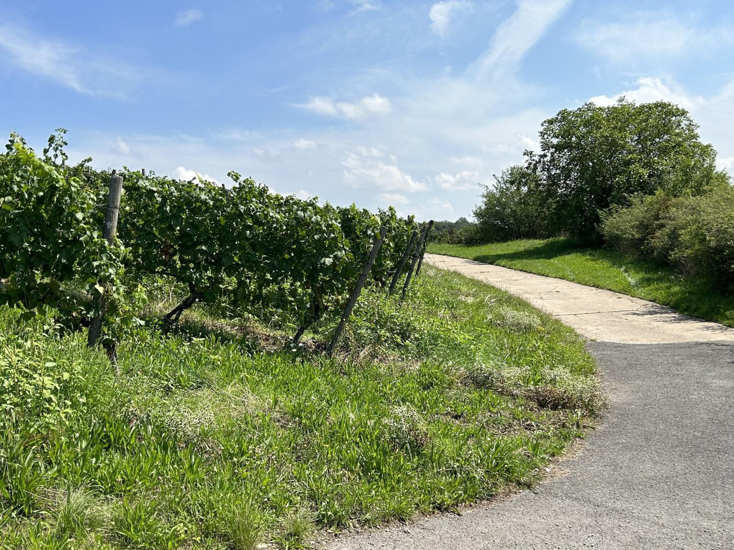 Fewoimdorf